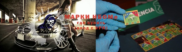 хмурый Алексин