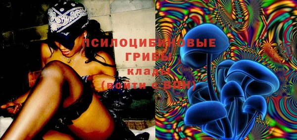 Альфа ПВП Алзамай