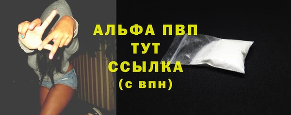 хмурый Алексин