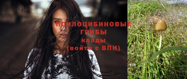 хмурый Алексин