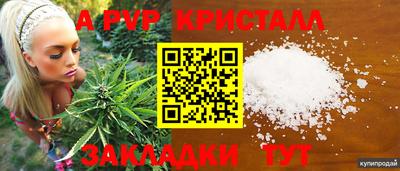 ГАЛЛЮЦИНОГЕННЫЕ ГРИБЫ Усть-Джегута