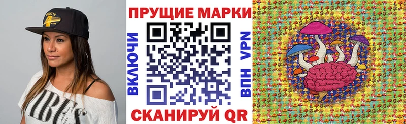 как найти закладки мориарти какой сайт Марки 25I-NBOMe 1500мкг Петропавловск-Камчатский