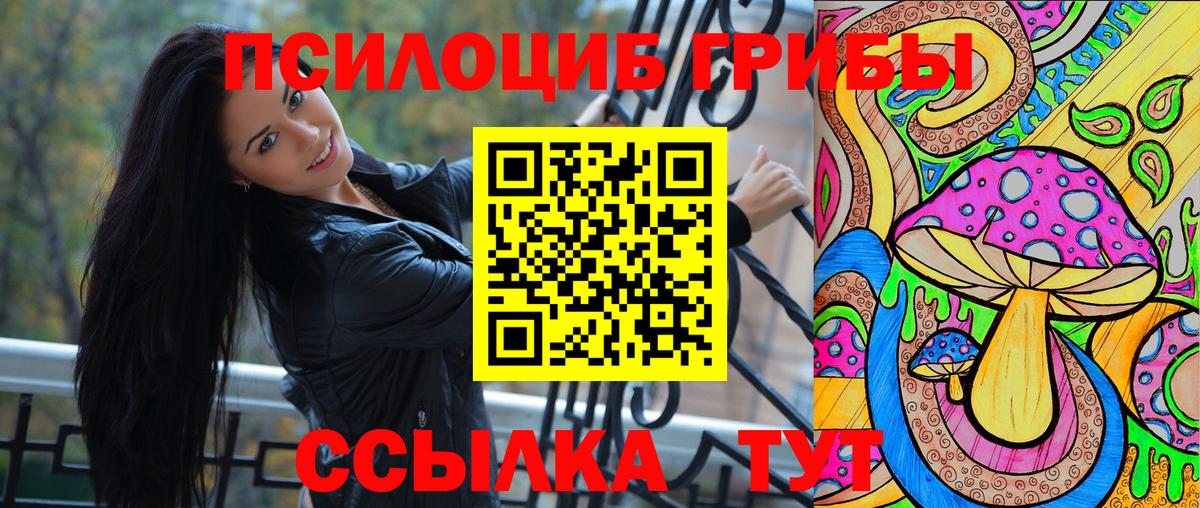 Псилоцибиновые грибы Psilocybine cubensis Петропавловск-Камчатский
