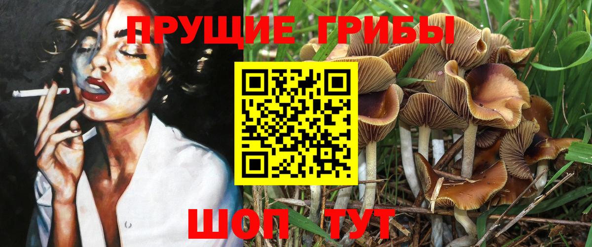 Псилоцибиновые грибы Cubensis  Вход с VPN  Петропавловск-Камчатский 